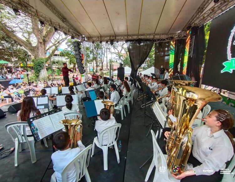 Banda IMTC-