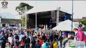 Cuerdas pulsadas Inscultura