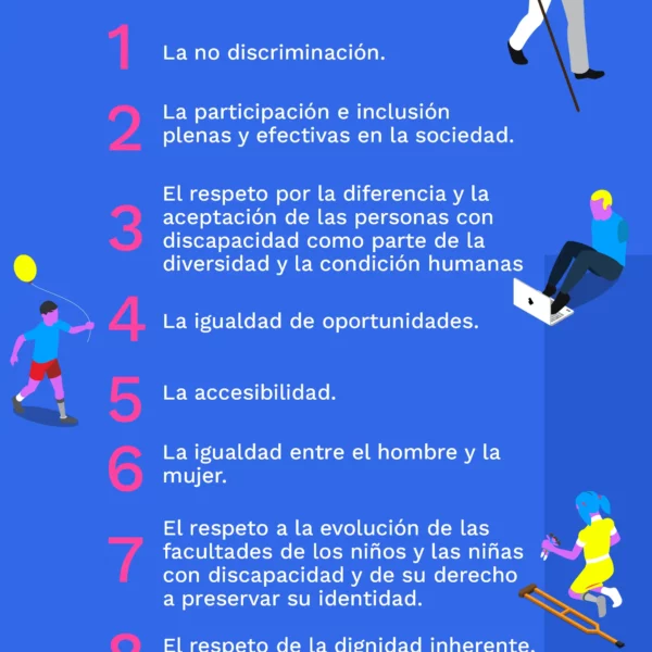 8 principios para promover la inclusion