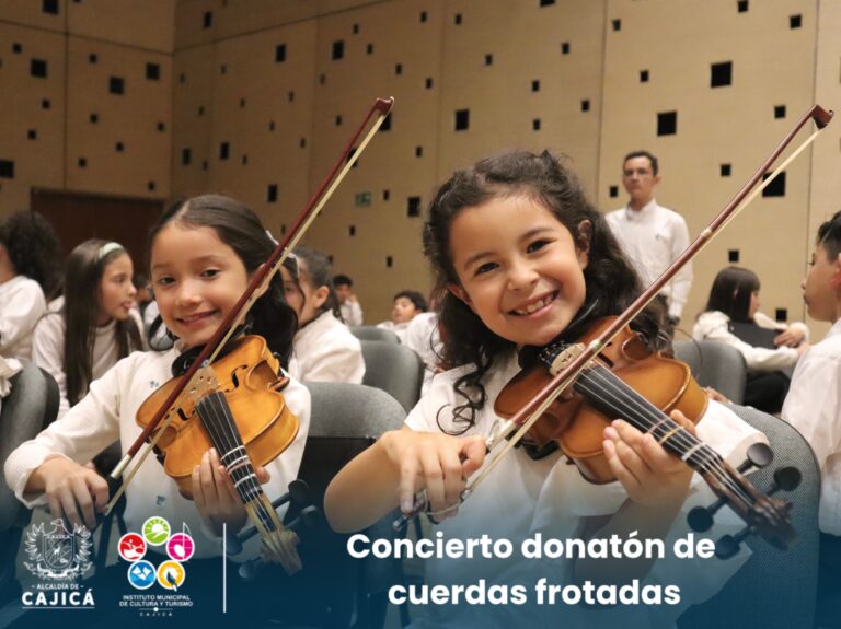 cuerdas frotadas