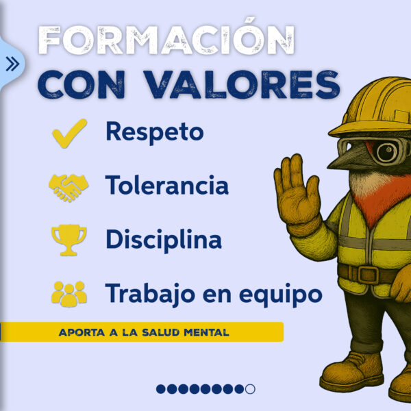 carrusel seguridad-08