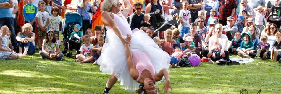 Ballet Poulet - banner