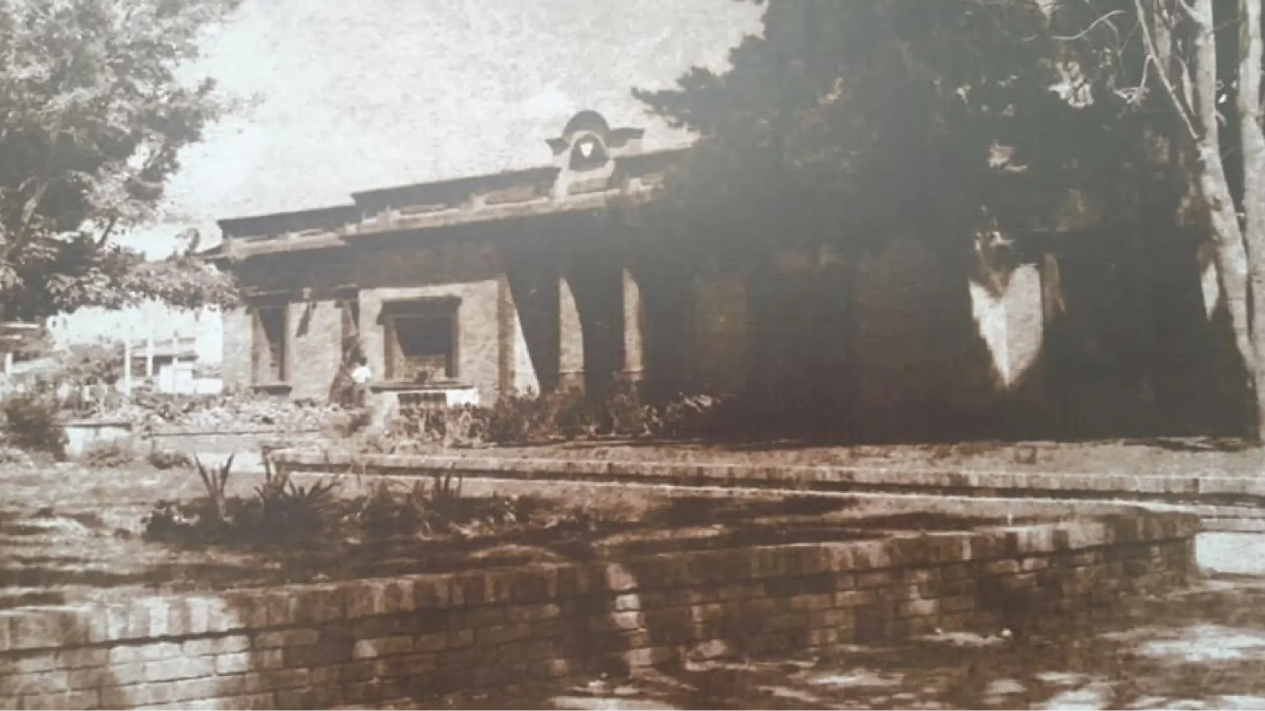 Patrimonio (6)