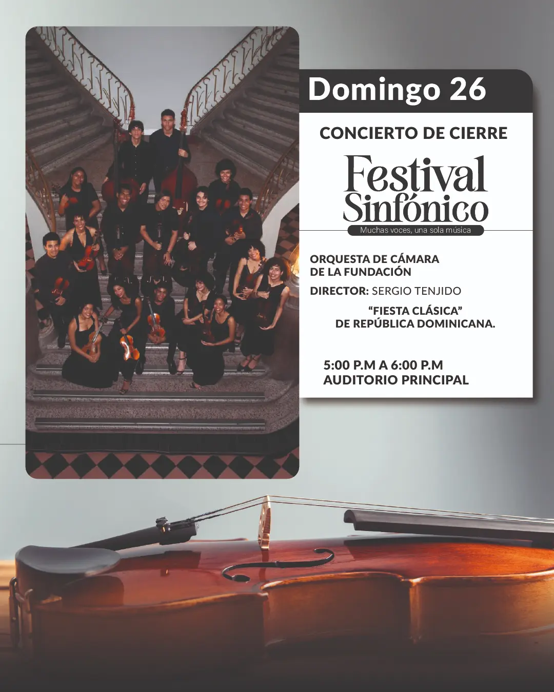 imperdibles-08