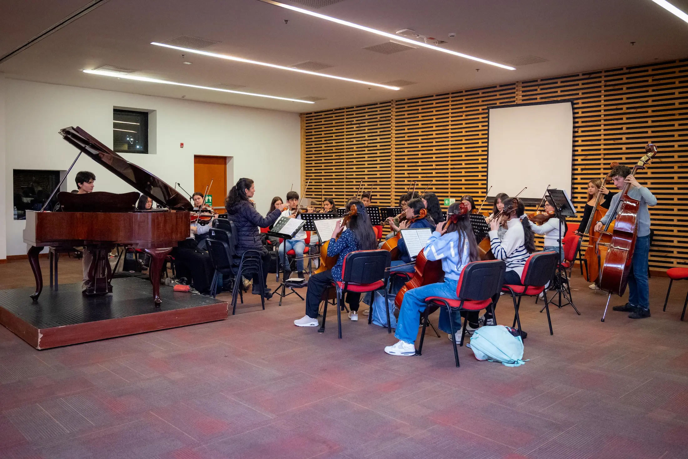 Orquesta Juvenil de Cuerdas Frotadas