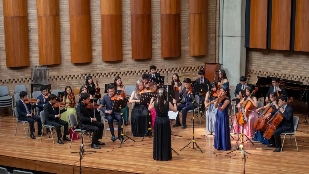 Orquesta de Cuerdas